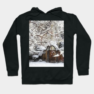 Garden Gate in Winter Hoodie